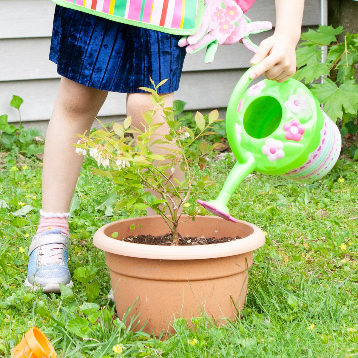 Pretty Petals Watering Can