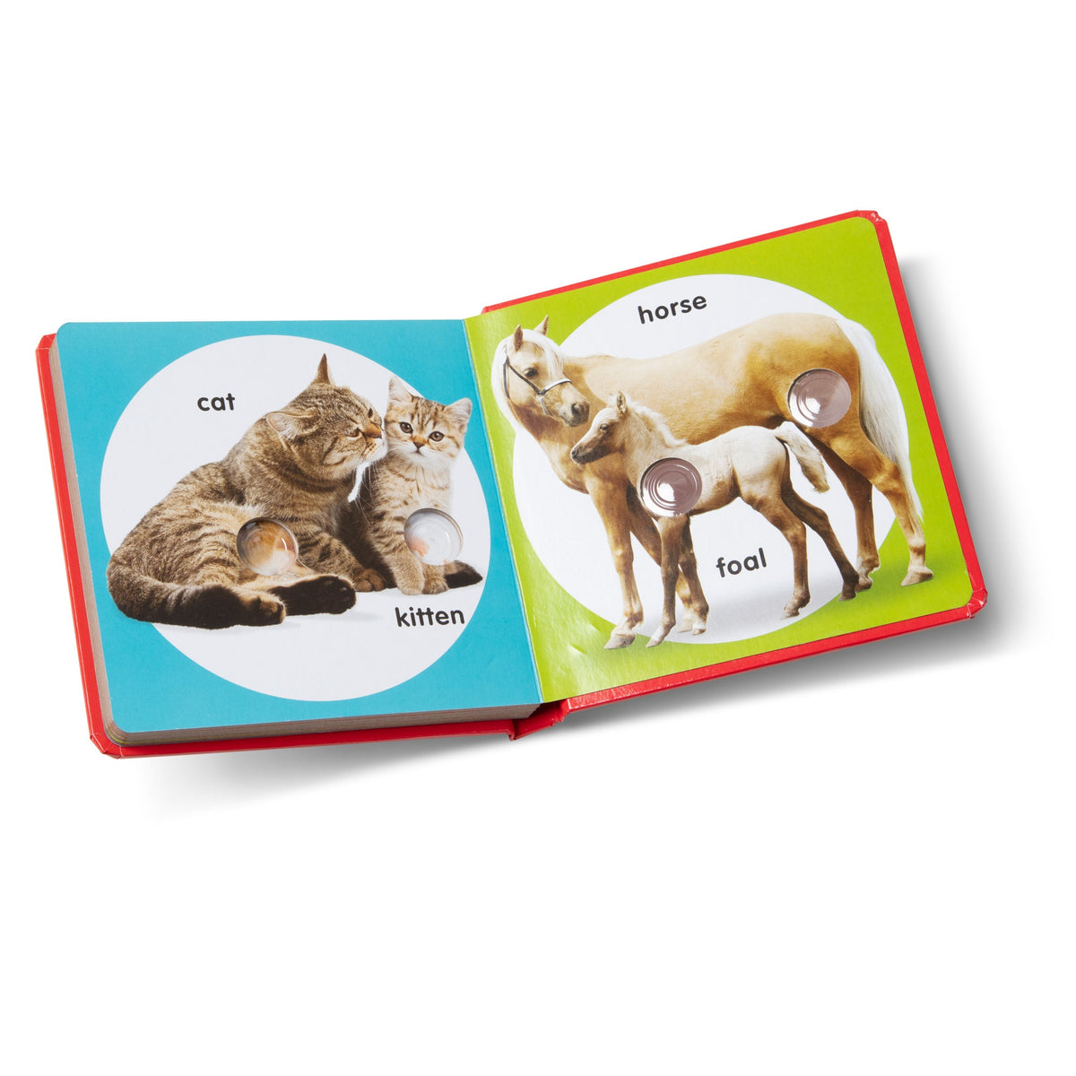 Poke-a-Dot: Pet Families Board Book
