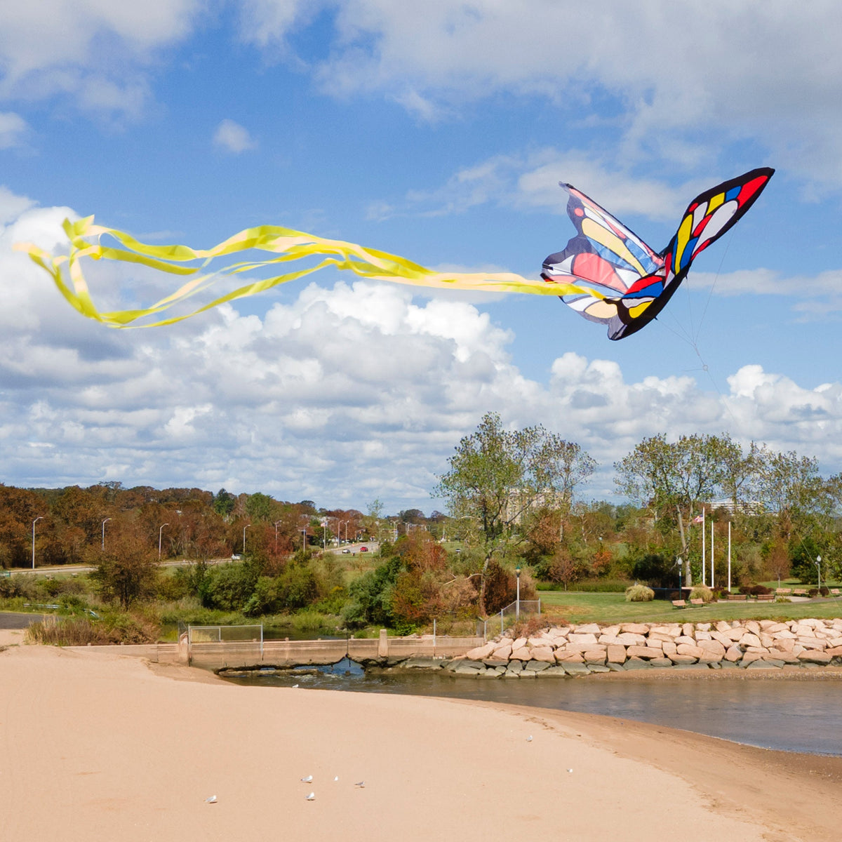 Beautiful Butterfly Kite