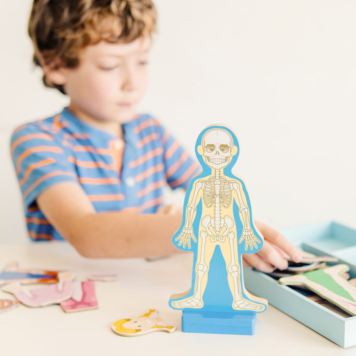 Magnetic Human Body Play Set