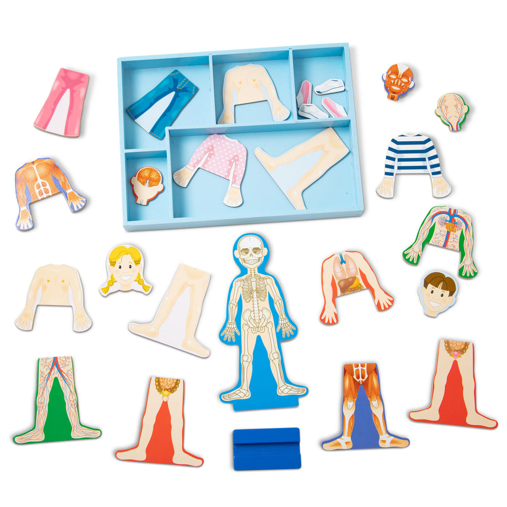 Magnetic Human Body Play Set